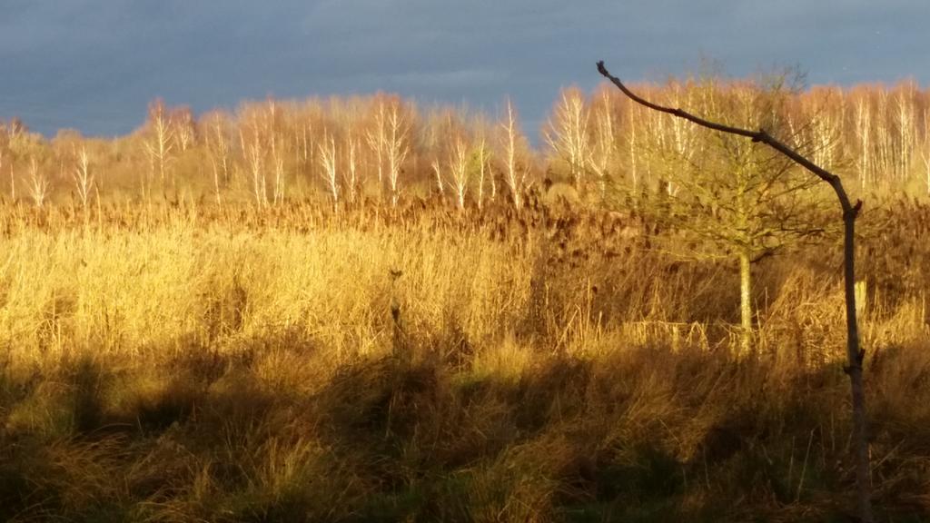 Vila Aux Charmes De La Campagne Hautrage Exteriér fotografie