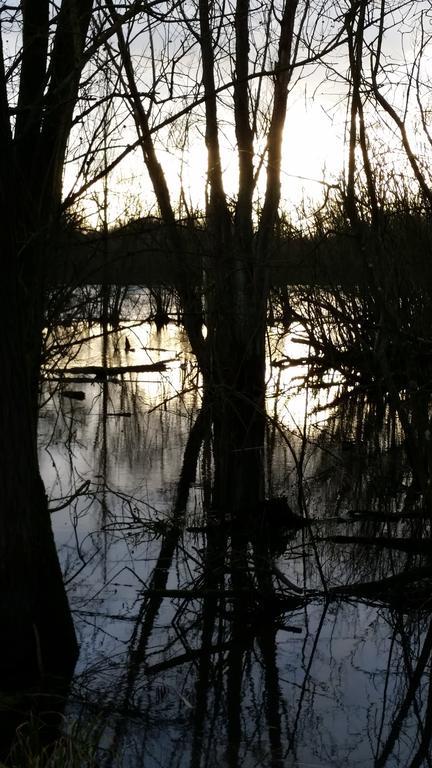 Vila Aux Charmes De La Campagne Hautrage Exteriér fotografie